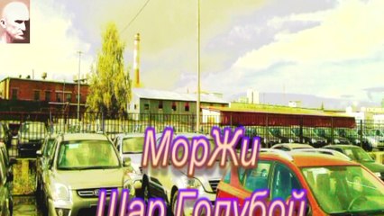 Моржи-Лунатики на голубом шаре