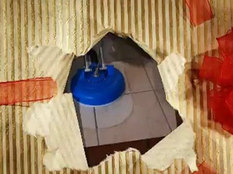 1A1 Steam Carpet Service - (407) 366-3900