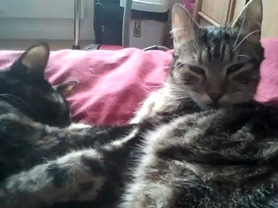 Yui et Chio en toilette collective