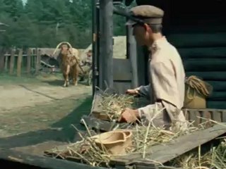 Leto.volkov.(2.seriya.iz.6).2011.DivX.DVDRip