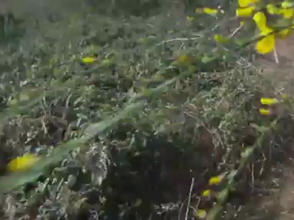 rando vtt Ergue Gaberic 2012