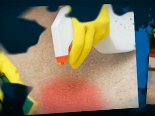 Dynamax Inc, Capital Carpet Cleaners - (352) 750-4008