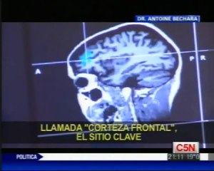 Cerebro y toma de decisiones: Antoine Bechara