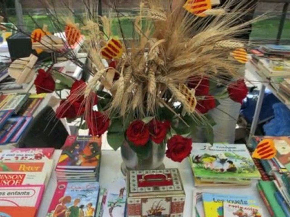 Sant Jordi del 18 al 30 d'abril del 2012