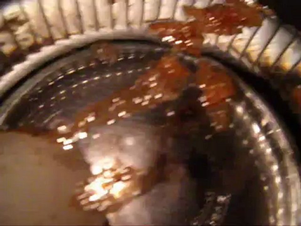 Naked egg