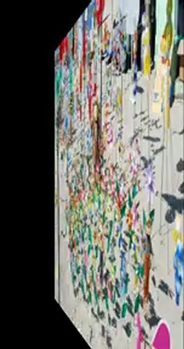 berck-sur-mer les cerfs-volants 2012