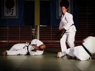 Ju-jutsu-Kai