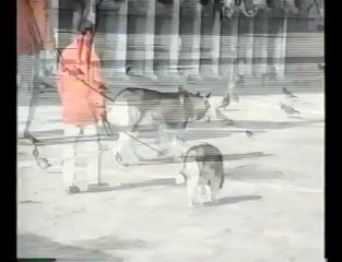 Veneza - 1995: Uma Viagem no Tempo