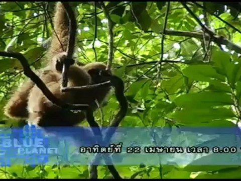 รายการ Market Place ประจำวันที่ 17 เมษายน 2555