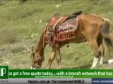 Beautiful Pakistan - Kashmir a beautiful Valley trip with HCP Travel & Tourism team part 2 - YouTube