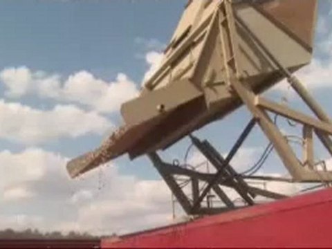 Down on the diversified farm - 21 Oct 07