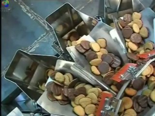 TECHNO D - Multihead for biscuits, cookies