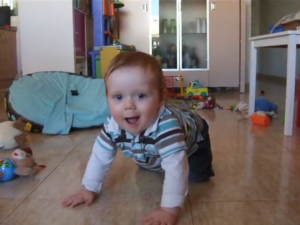 Alex à 4 pattes