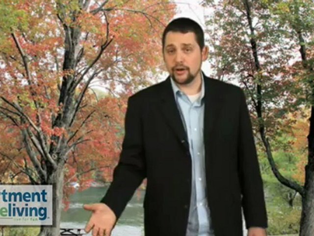 Bridgeport Apartment Living Guide - Bridgeport Apartments For Rent