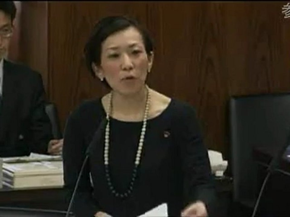 2012.04.17 参議院 外交防衛委員会 山本香苗（公明党）