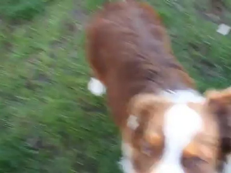 chichi tour de passe passe