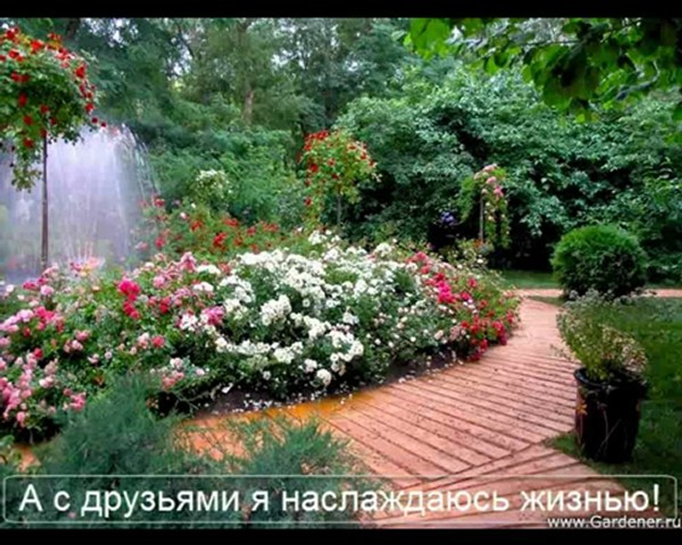 my_day