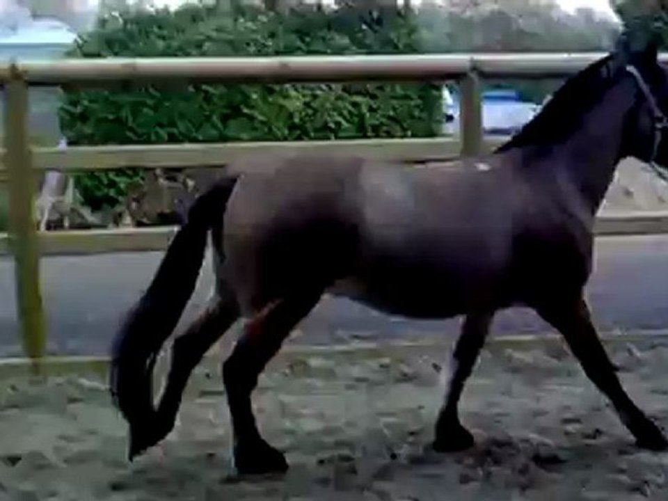 13 04 2012