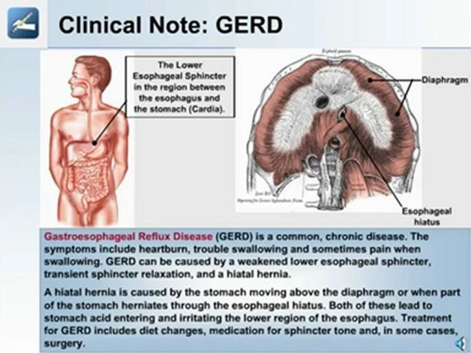 The Digestive System, Metabolism and Nutrition - Part 2 of 5
