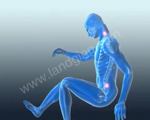 Car Crash Animations / Front Collision