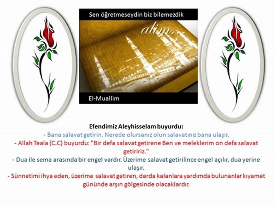 Kutlu Doğum