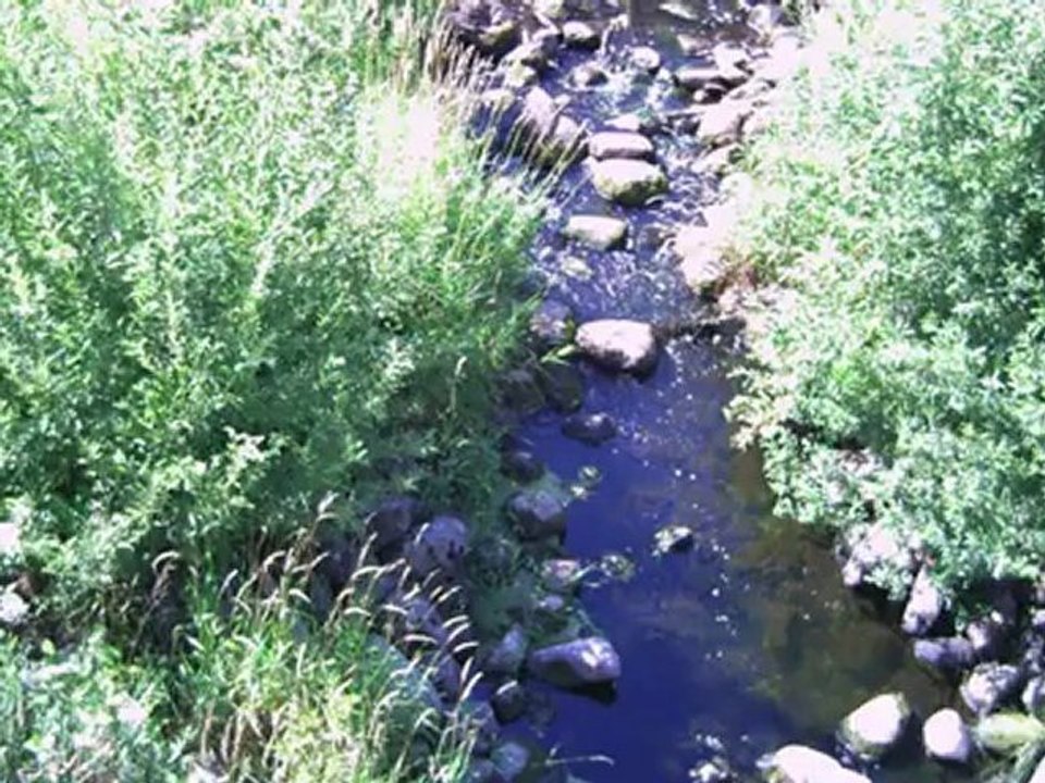 Морхово