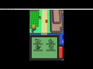 pokémon version diamant parti5 la route 205
