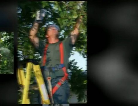 Johnson Stump Grinding - (715) 268-2409