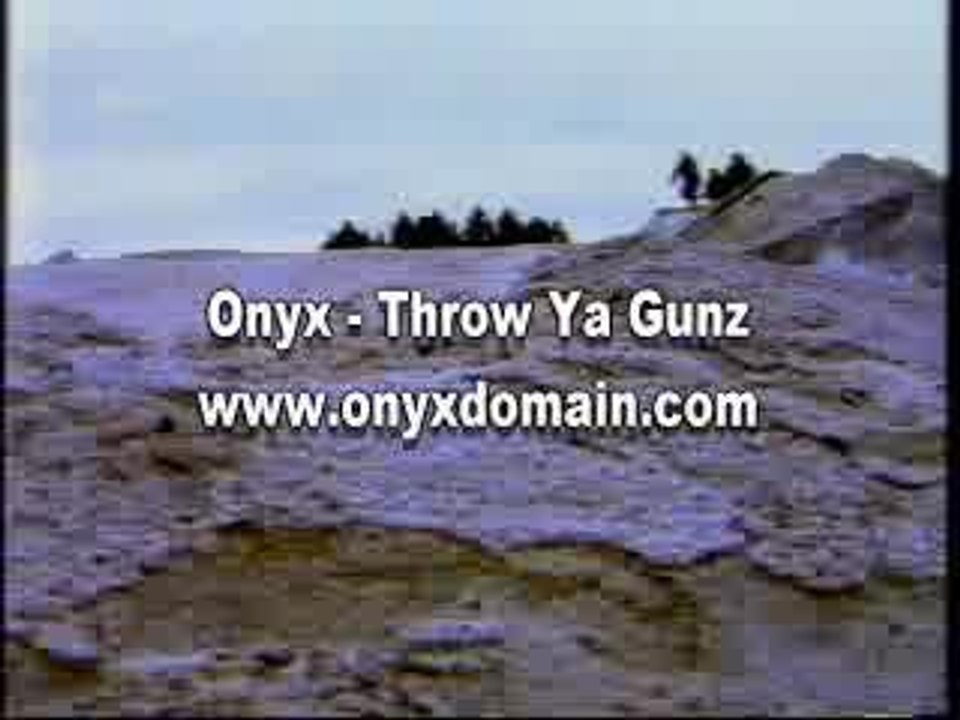 onyx -throw_ya_gunz