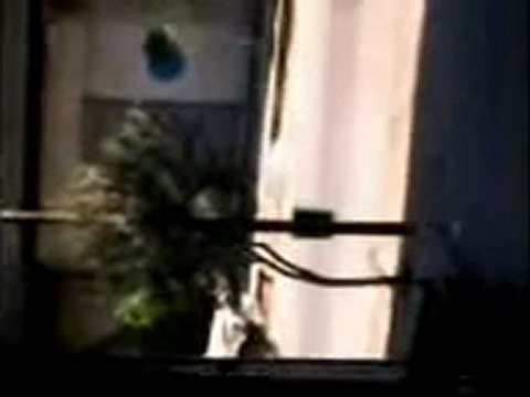 فري برس ريف دمشف دوما انتشار الجيش و الشبيحة اثناء المداهمات 17 4 2012 ج2 Damascus