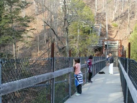 Du Parc Chauveau aux Chutes kabir Kouba