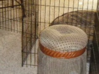 dog crate covers