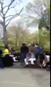 Central Park Rollerskates