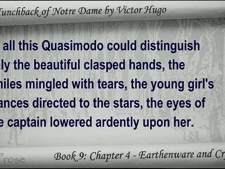 Book 09 - Chapter 4 - The Hunchback of Notre Dame by Victor Hugo - YouTube