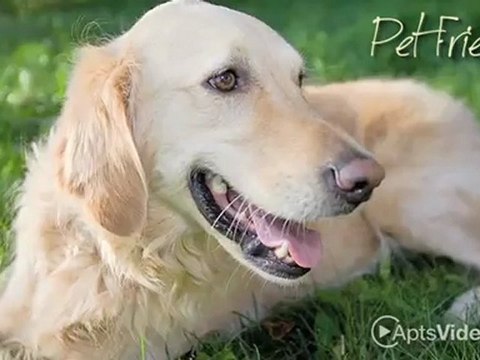 Amberleigh Bluff Apartments in Knoxville, TN - ForRent.com