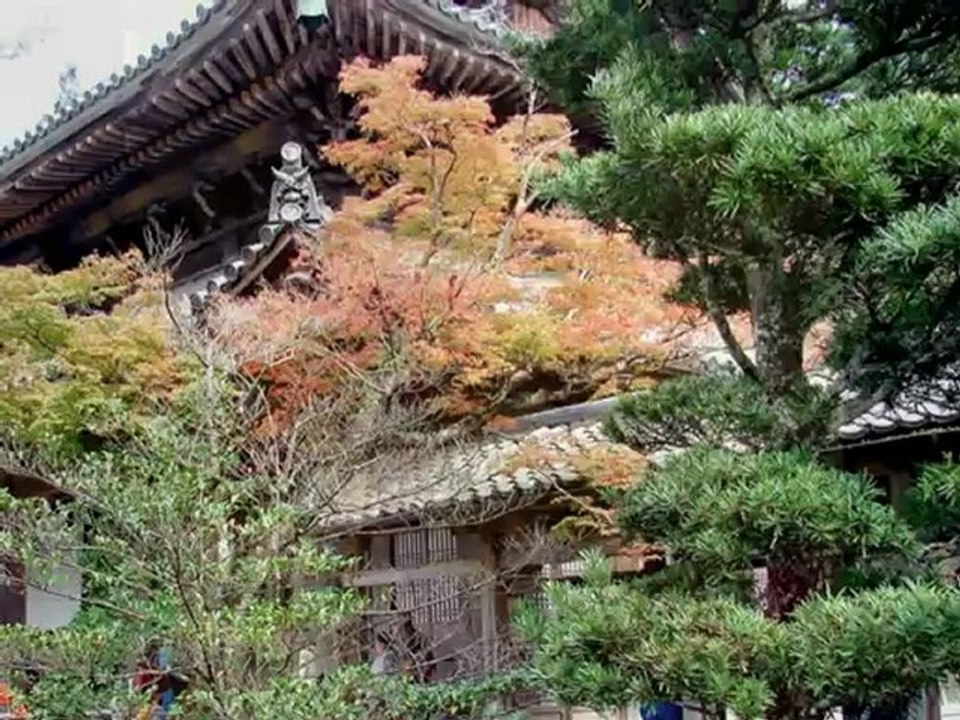 Japan/Korea-Reise 209 Teil 2