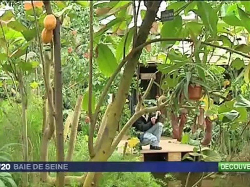 Journal télévisé de France 3 Baie de Seine du lundi 16 avril  2012
