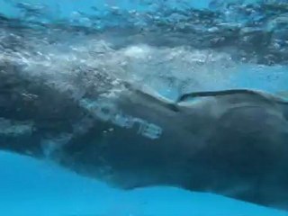 Séance natation en piscine avec ma nouvelle combinaison Europium - Stage Mallorca