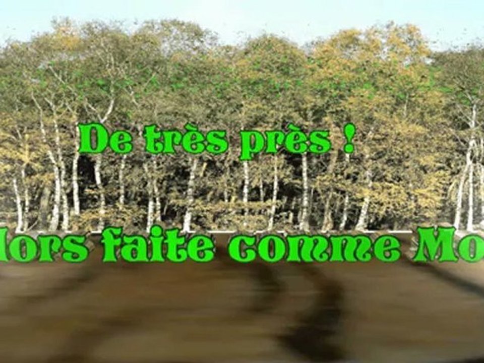 intro pour CARESSE DE TIGRE