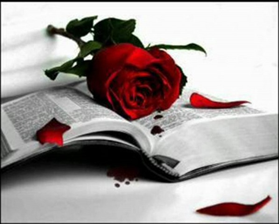 Sebebimask.Com, Sebebimask ,Sebebim Sesli, Chat GörüntüLu SohbeT Benim Canım Sevgilim Sebebimask