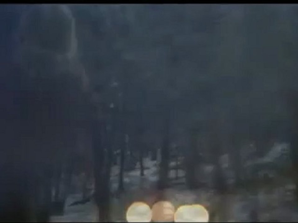 Caribou