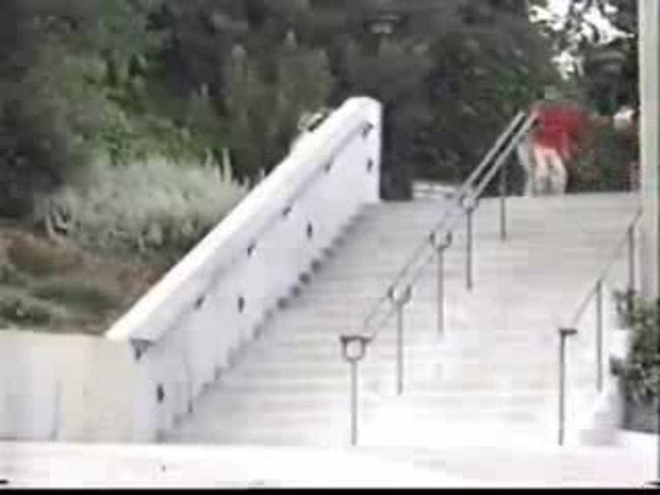 bs noseslide (Bullshit !!!)