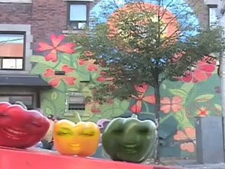 Clasificación de los ángulos (vegetales) - HD