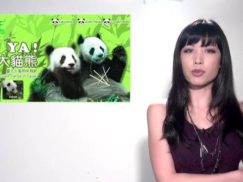 Who is the founder of NWA? Li Anne responds to your questions