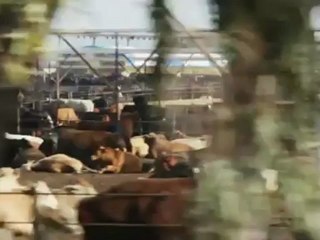 El detrás de escena del desnudo de Lisa Edelstein