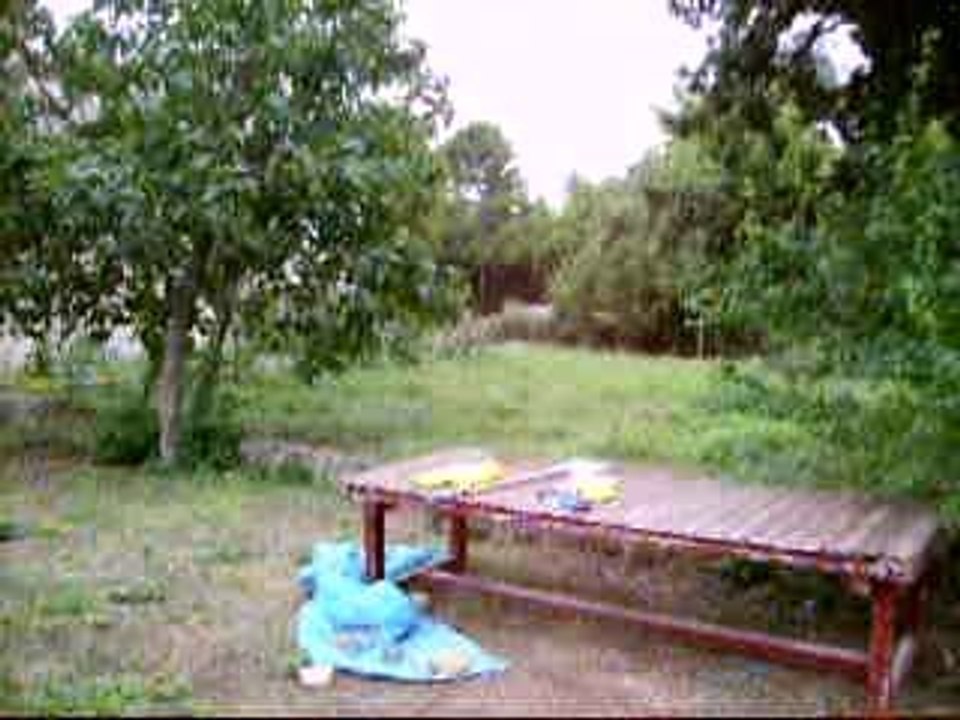 jardin 1
