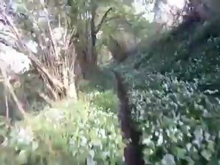 Chemin du Roy en VTT à St Neomaye