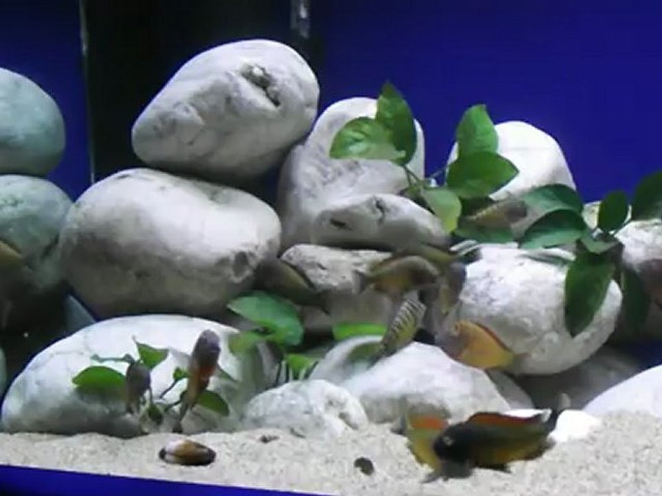 DSCF0979