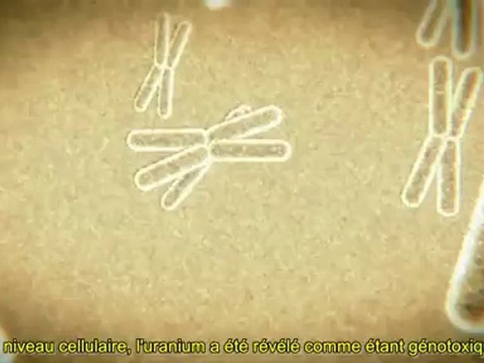 Uranium appauvri - Lorsque la poussière retombe