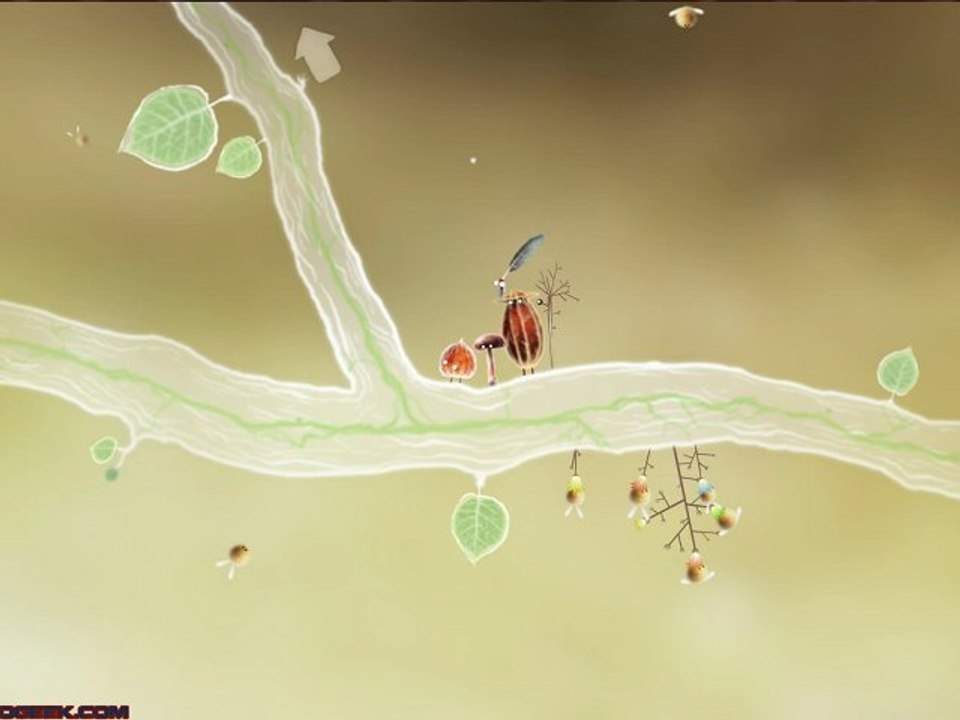 Botanicula Walkthrough Part 1